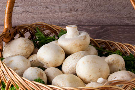 edible raw mushrooms on a wooden tableの写真素材