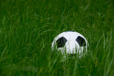the soccer ball on a green lawnの写真素材