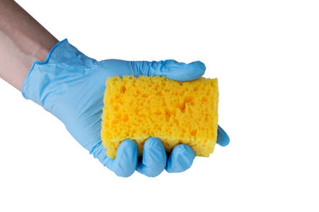 yellow sponge in hand on a white backgroundの写真素材