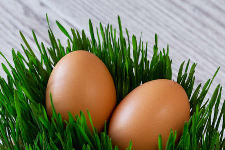 Eggs in the grass on a wooden backgroundの写真素材