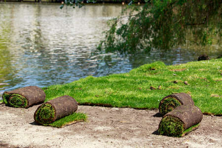 The stacking of roll green lawn grassの写真素材