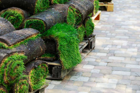 stacks of sod rolls for new lawnの写真素材