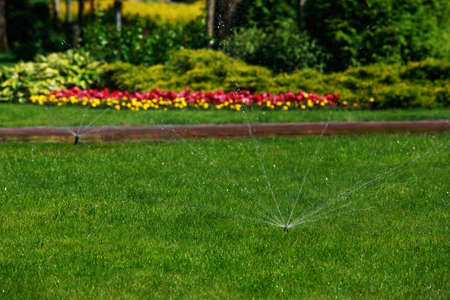 The built-in automatic green grass irrigation systemの写真素材