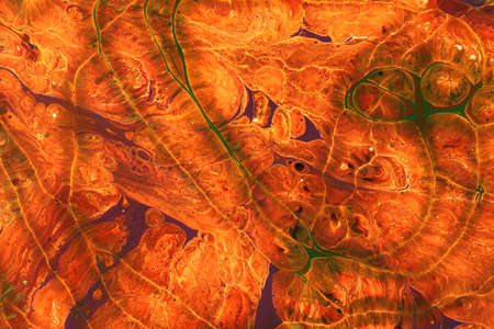 An abstract picture of a luxury orange and black color in oriental style