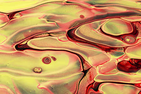 Abstract background of acrylic paint in color tones