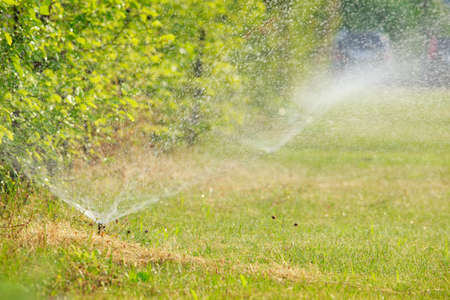 Automatic watering of green lawn in the gardenの写真素材