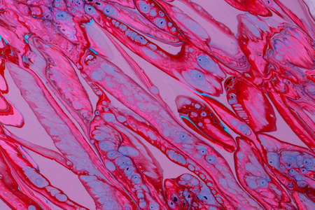 Abstract background of acrylic paints in color tones