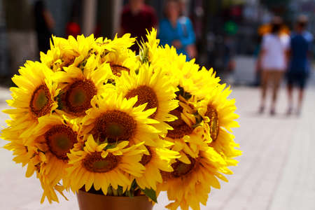 Large bouquet of sunflowers close up in the openの写真素材