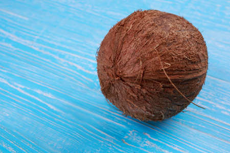 The big coconut on aquamarine background close-up