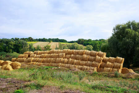 Pyramid of hay stacked in a field near animal farm