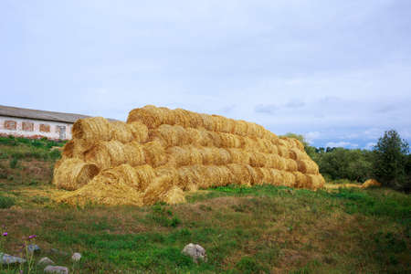 Pyramid of hay stacked in a field near animal farm