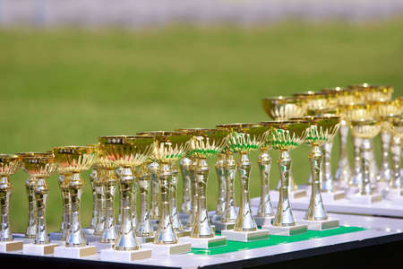 Gilding glittering cups for rewarding winners in competitionsの写真素材