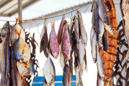 Stockfish on a rope in the open airの写真素材