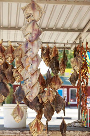 Stockfish on a rope in the open airの写真素材