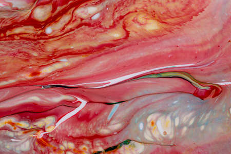 Abstract background of acrylic paint in red tones