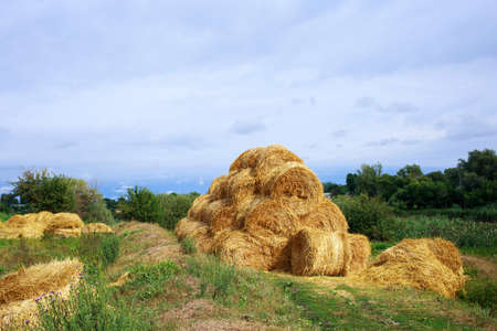 Pyramid of hay stacked in a field near animal farmの写真素材