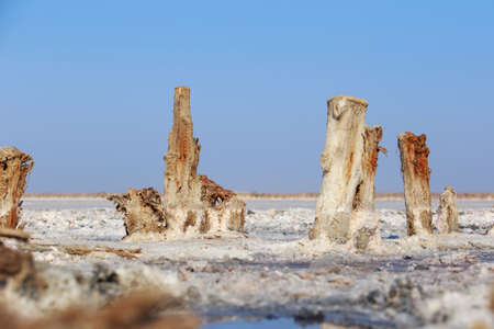 Beautiful crystals of pink salt on marshes