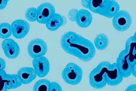 Abstract background of acrylic paint in blue tonesの写真素材