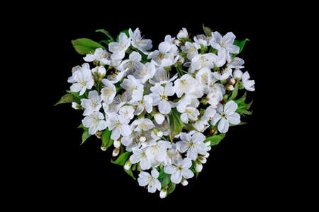Heart of cherry flowers on a black background