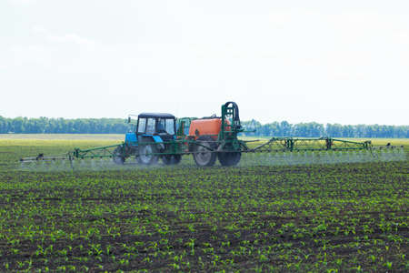 Tractor sprinkles a corn field in spring