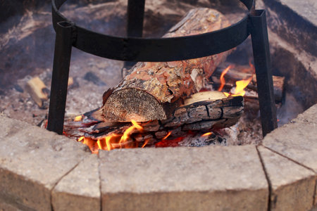 Chopped wooden logs in red and orange hot flames burning in firepit outside.