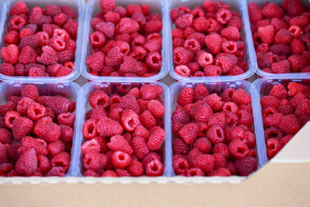 Fresh juicy raspberries in booties close-up photo