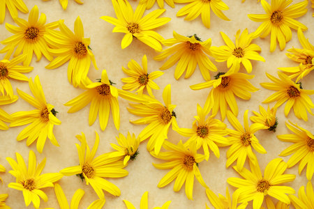 scattered yellow flowers on a beige backgroundの写真素材