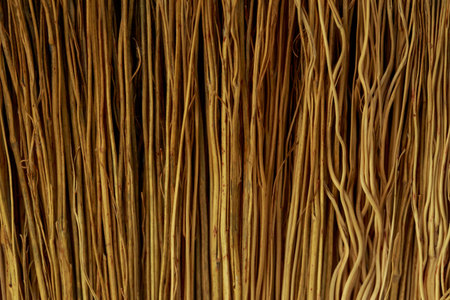 background of thin twigs close-up top viewの写真素材