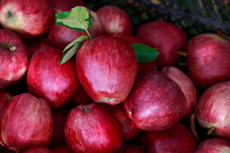 fresh juicy red apples in a plastic boxの写真素材