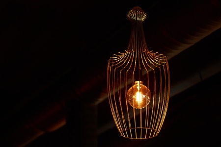One modern chandelier on a dark ceiling.の写真素材