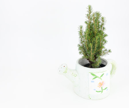Christmas tree in a pot in the form of a watering canの写真素材