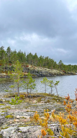 Islands with forest and rocks on Lake Ladogaの写真素材