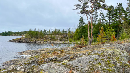 Islands with forest and rocks on Lake Ladogaの写真素材