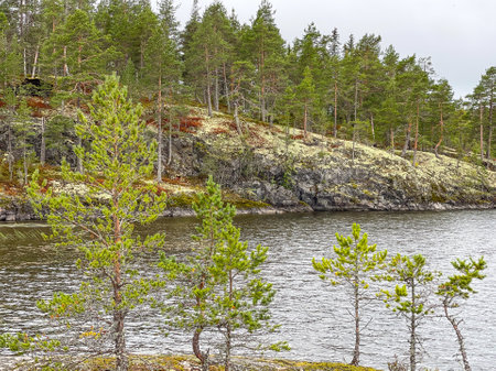 Islands with forest and rocks on Lake Ladogaの写真素材