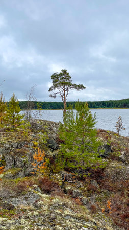Islands with forest and rocks on Lake Ladogaの写真素材