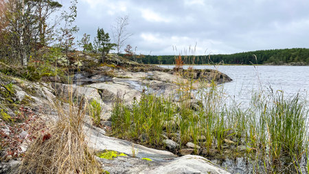 Islands with forest and rocks on Lake Ladogaの写真素材