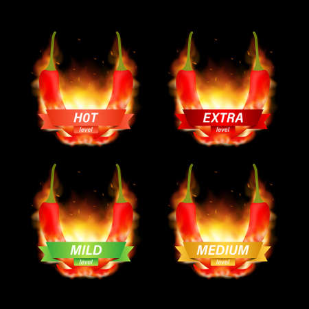 Hot red pepper strength scale indicator with mild, medium, hot and hell positions. Vector stock illustration.のイラスト素材