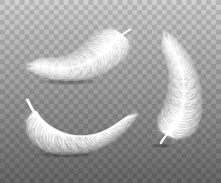 fluffy feather with shadow vector realistic set isolated on transparent backgroundのイラスト素材