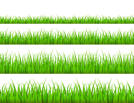 Green grass meadow border vector pattern. Grass background Vector Illustration.のイラスト素材