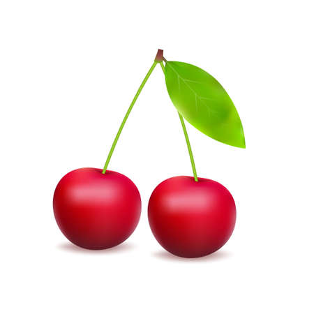 Ripe red cherry berries with leaves. Vector stock illustrationのイラスト素材