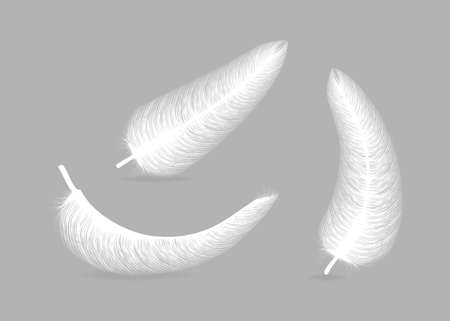 fluffy feather with shadow vector realistic set isolated on transparent backgroundのイラスト素材
