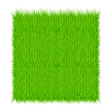 Circle With Grass, Green grass background. Frame. Vector Illustrationのイラスト素材