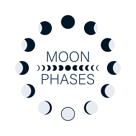 Moon phases astronomy icon set. Vector stock illustration.のイラスト素材