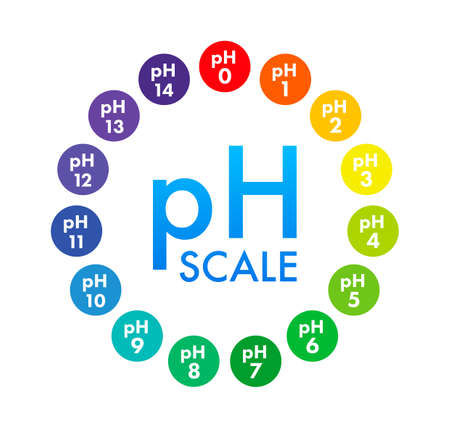 pH value scale meter. pH analysis chemical scale value test. Vector stock illustration.のイラスト素材