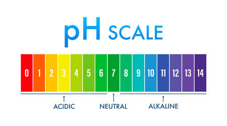 pH value scale meter. pH analysis chemical scale value test. Vector stock illustration.のイラスト素材