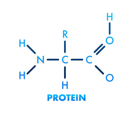 Sketch icon. Creative vector illustration. Protein. Structural chemical formulaのイラスト素材