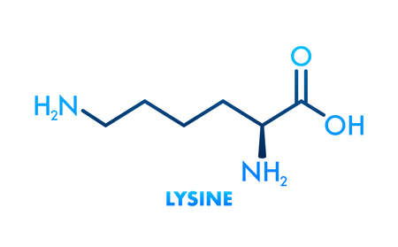 Lysine formula, great design for any purposes. Essential Amino Acid simple skeletal formula.のイラスト素材