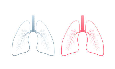 Lungs, great design for any purposes. Cartoon illustration. Simple vector illustrationのイラスト素材