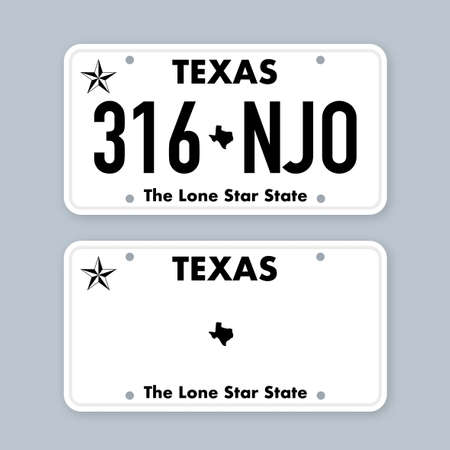 License plate of Texas. Car number plate. Vector stock illustration.のイラスト素材