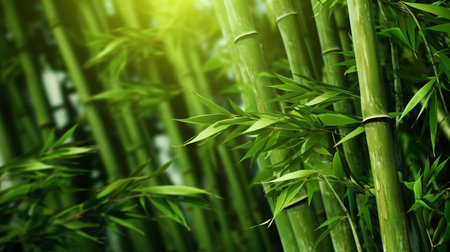 Green bamboo nature background. Generative AIの素材